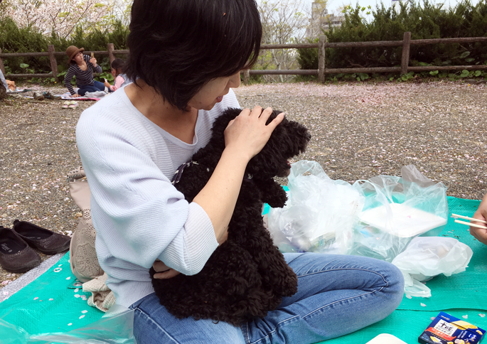 お花見　浜松城公園